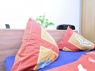 Apartment with views of the Ore Mountains - Oelsnitz - 4