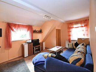 Pleasant Apartment in Wildemann - Wildemann - 6