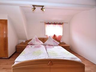 Pleasant Apartment in Wildemann - Wildemann - 1