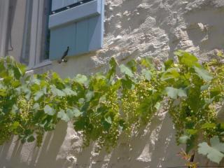Les Trois Croix - Santenay - 5