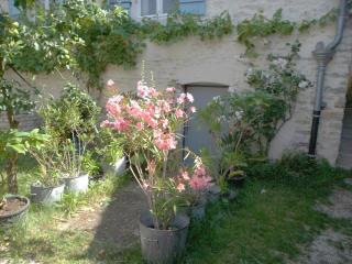 Les Trois Croix - Santenay - 7
