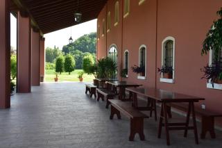 Tenuta Monterosso - Feriole - 5
