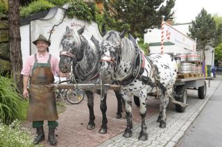 Hotel Gasthof Kamml - Wals - 1