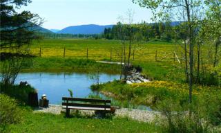 Nakiska Ranch - Clearwater - 8