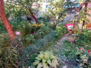 Guest House Chirina - Signagi - 8