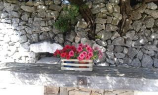 B&b Cinque Stalle - 5
