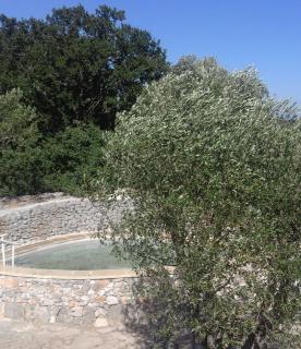 B&b Cinque Stalle - Monopoli - 1