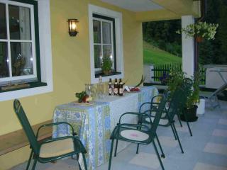 Landhaus Servus - Viehhofen - 4