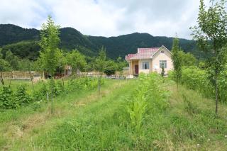Qebele Vendam - Gabala - 2