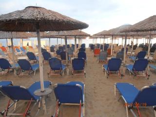 Oscar - Paralia - 2