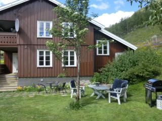 Haukeli Husky Fjellgård - Haukeli - 0
