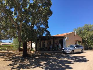 Camping Pezza Cardo - Porto-Vecchio - 6