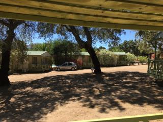 Camping Pezza Cardo - Porto-Vecchio - 5