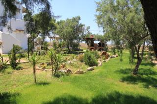 Zefyros Apartments and House - Kissamos - 5