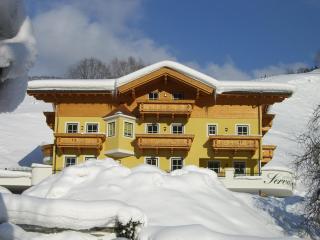 Landhaus Servus - Viehhofen - 5
