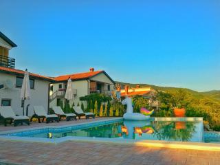 Home Andrea with infinity salty pool - Roč - 3