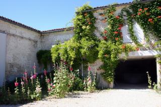 La Ferme Fortin - Gensac-la-Pallue - 8