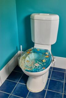 Akaroa on the Beach - 3