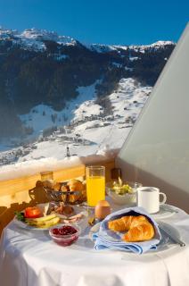 Hotel Monika - Gaschurn - 2