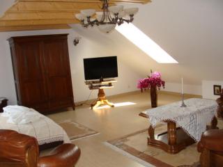 Apartamenty Galeria Trunków - Białowieża - 9