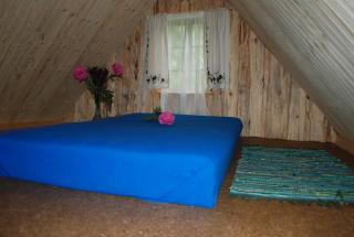 Hallikivi Tourist Farm - Vennarti - 5