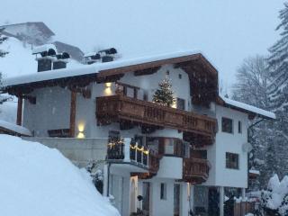 Apart Bradl - Hippach - 4