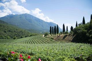 Agritur Casteller - Trento - 1