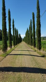 Podere Chiasso Gherardo - 1