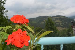 Sweet Home - Dilijan - 7