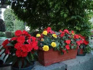 B&B Morosini - Polesella - 8
