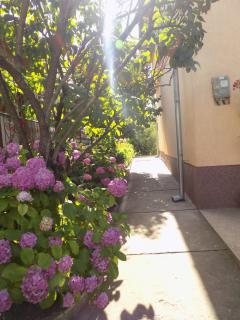 Casa Teo - Hunedoara - 9