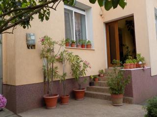 Casa Teo - Hunedoara - 4