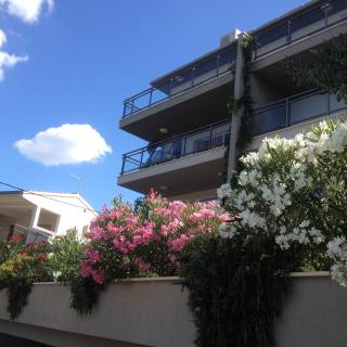Apartment Božan - Omiš - 6
