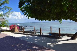 Belle Crique D3 Tamarin Ile Maurice - 2