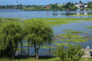Vila Maria Snagov - Snagov - 5