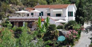 Villa dei Limoni - SantʼAndrea - 0