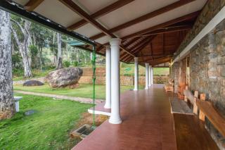 Neelakurunji Plantation Munnar - Chinnakanal - 8