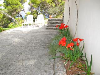 House Ivan - Postira - 0