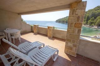 Apartments Zeljko - 1