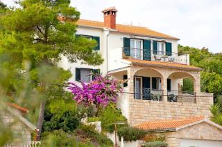 Apartment Marija - Donje Selo na Šolti - 1