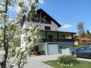 Apartments and Room Robert - Korenica - 1