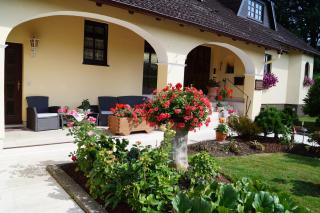 Pension Kordula Straub - Waldfenster - 8