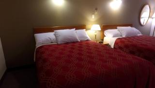 Econo Lodge Inn & Suites - Saint John - 1