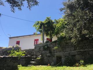 Casa da Nave - Monchique - 9