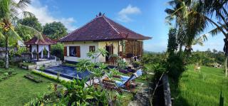 Lafyu Bali - Singaraja - 5