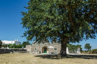 TRULLI CONTI Grande spazio alberato incontaminato- prenotazione esclusiva - Cisternino - 1