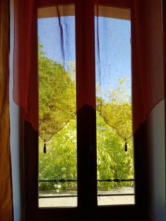 Hote de l'île chez Wendy et Fred - 2