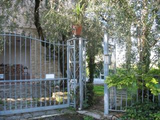 Villa Patrizia - Torri del Benaco - 5
