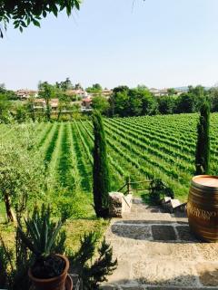 Villa Butussi - L'ospitalità del Vino - 2