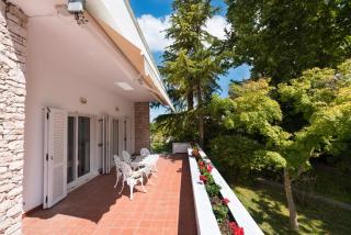 Exotic Palm Villa - 9
